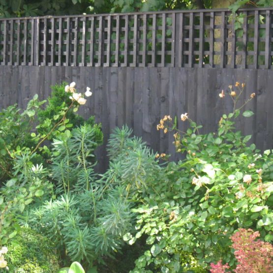 featheredge fence