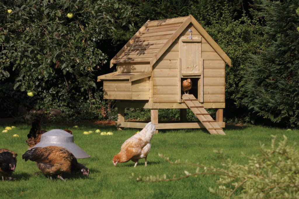 chicken coop