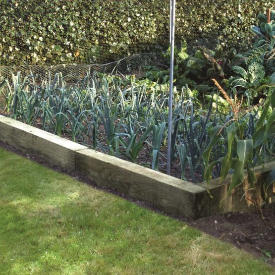 softwood sleeper