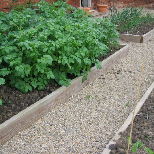 Traditional raised beds