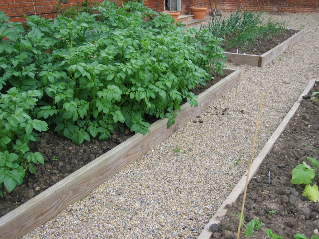 raised bed from boards