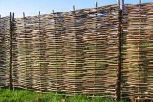 Hazel Hurdles