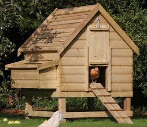 Large Chicken Coop 1.58m h x 1540mm w x 1230mm d